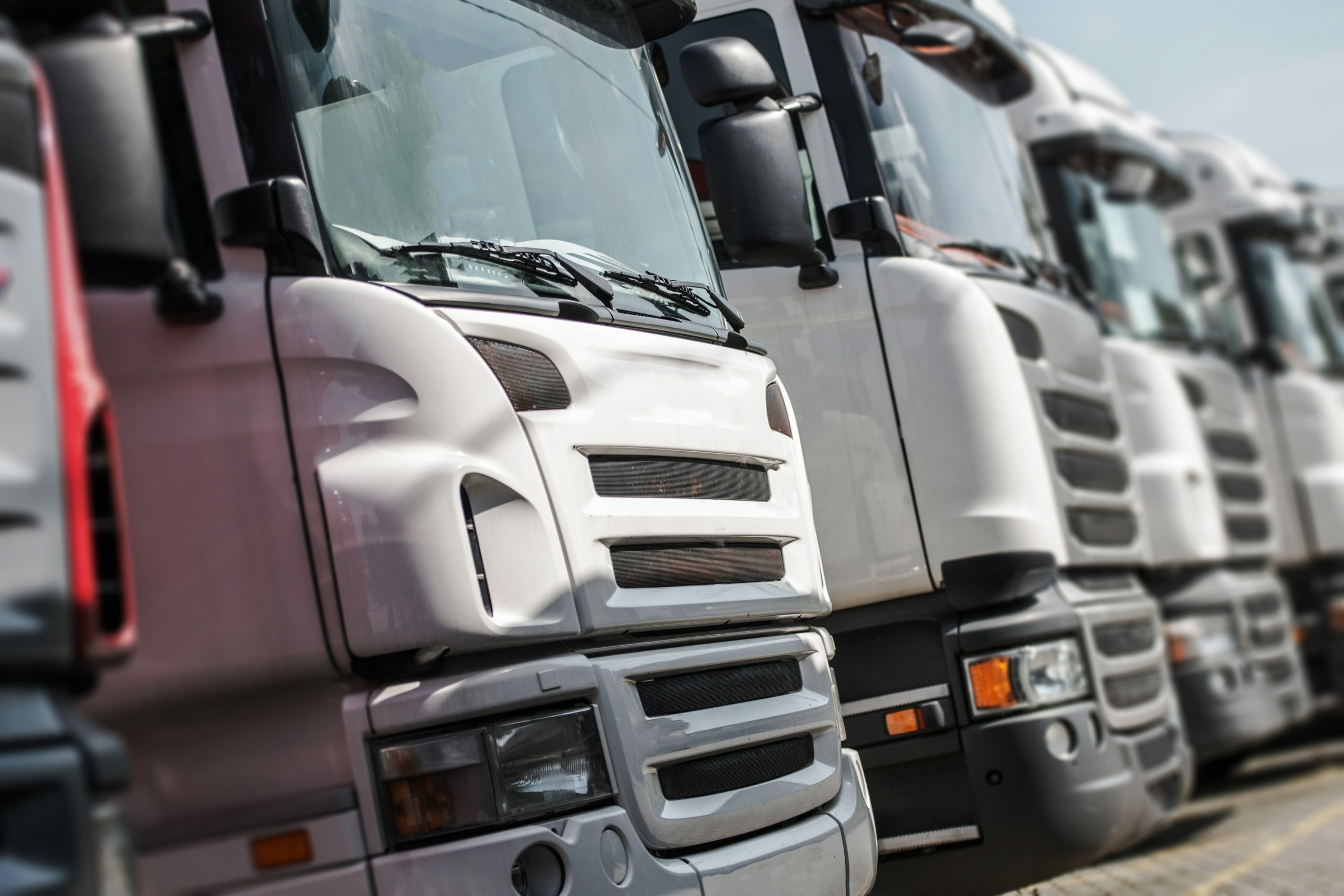 Line of white commercial trucks for rental and delivery services.